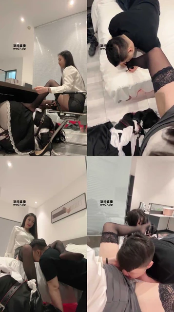 视频编号68630